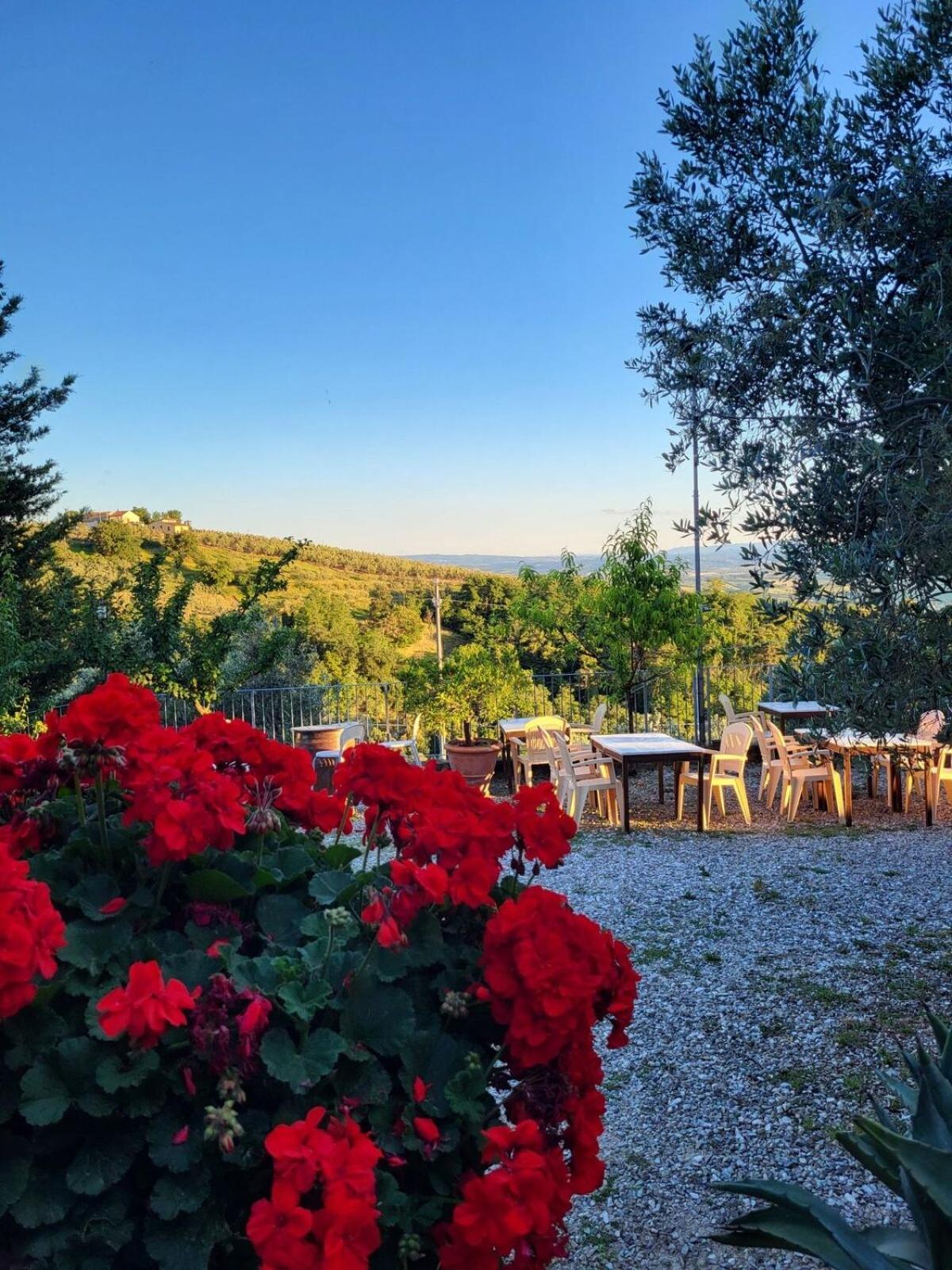 Agriturismo La Gioconda Vinci Bagian luar foto