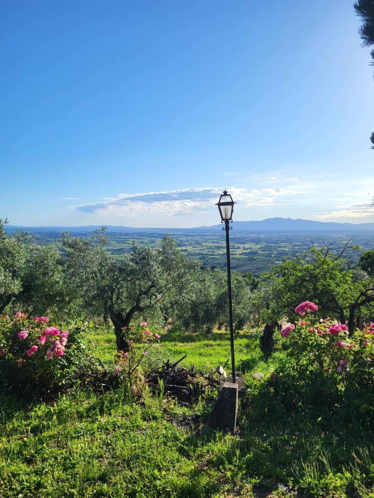 Agriturismo La Gioconda Vinci Bagian luar foto