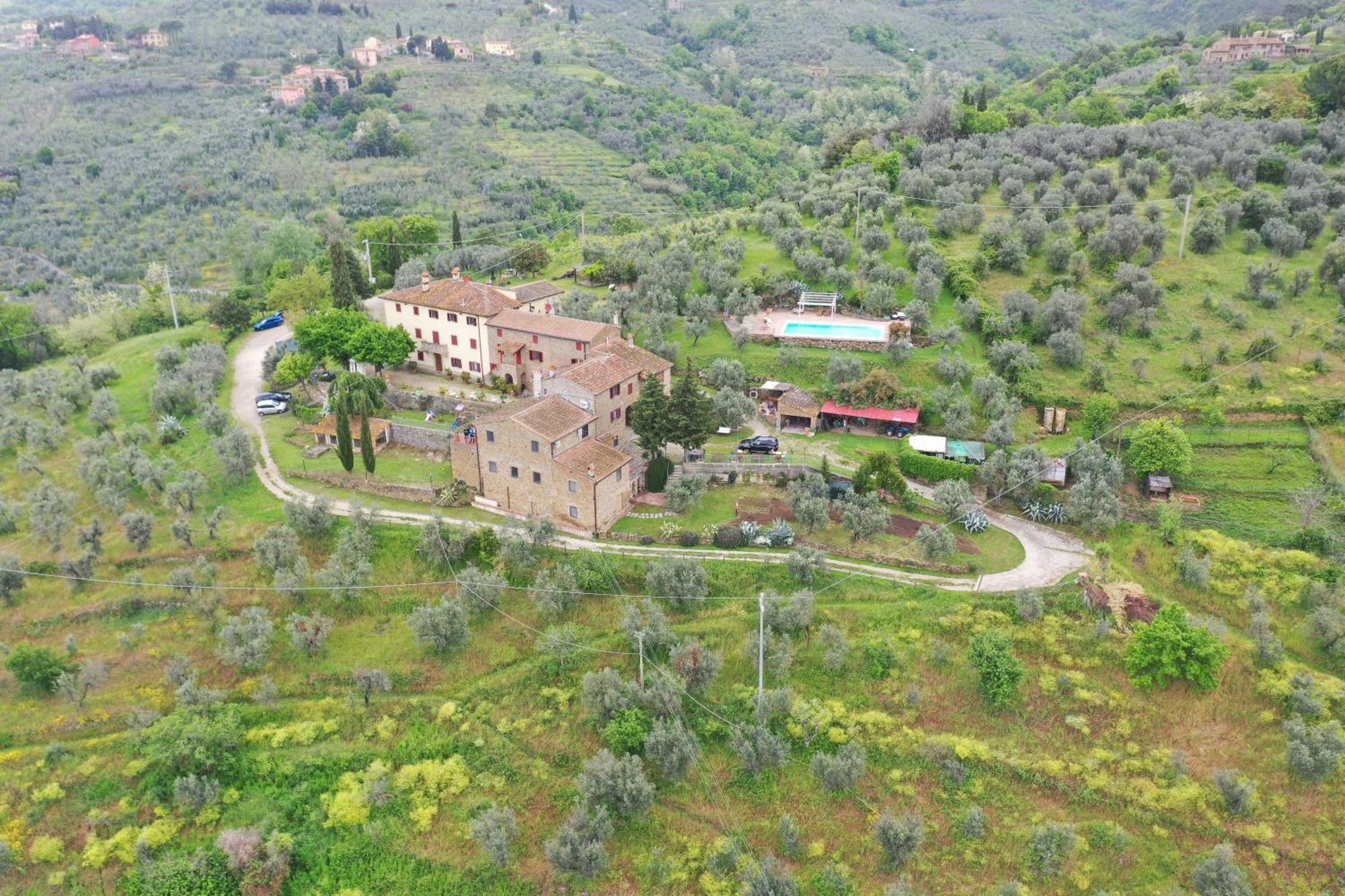 Agriturismo La Gioconda Vinci Bagian luar foto